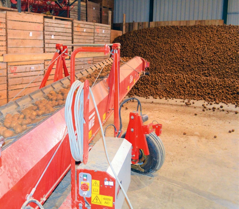 fur die optimale lagerung von starkekartoffeln sorgen